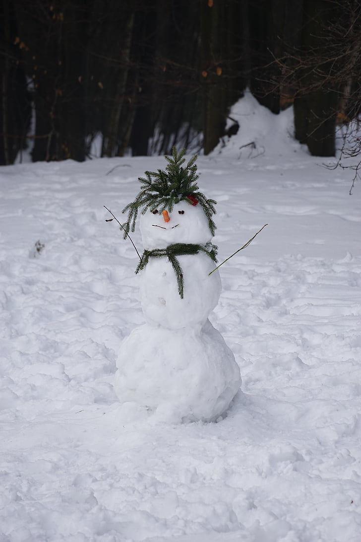 snowman, snow, winter, cold temperature, white color, one animal, day