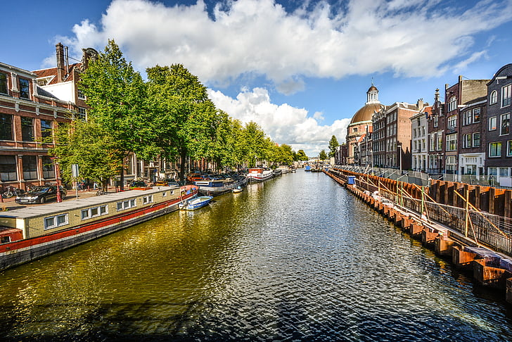 Amsterdam, kanal, sunčano, ljeto, vode, nizozemski, arhitektura