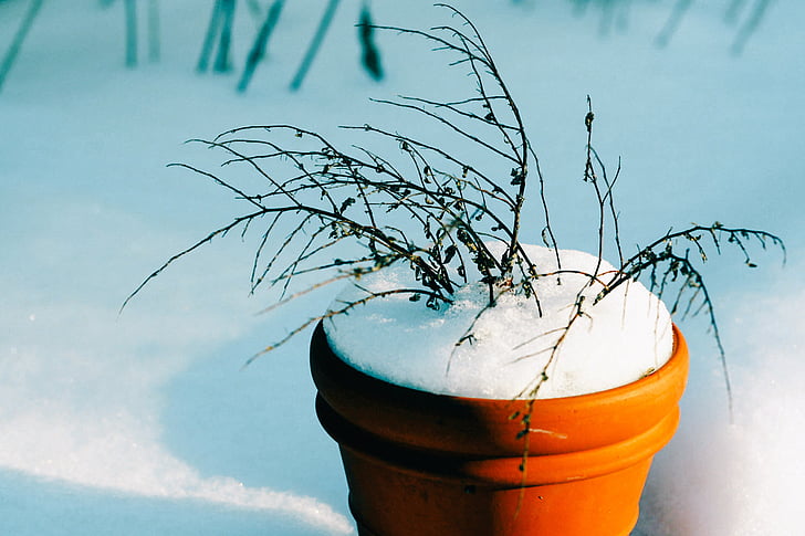 bucket, flower pot, snow, winter