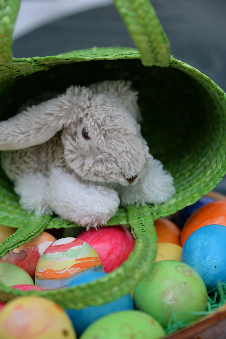 lihavõtted, Easter bunny, muna, Värviline, lihavõttemunad, Värv, värvi