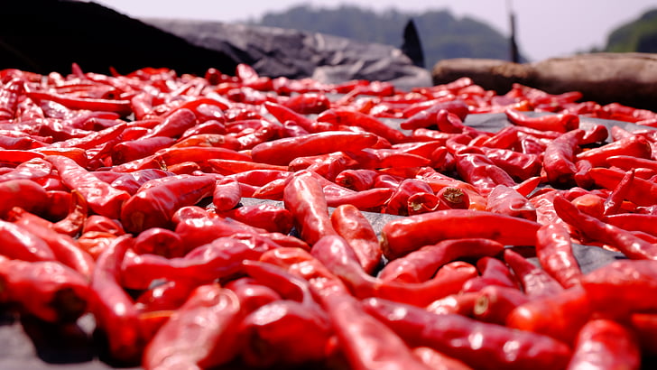 Chili, chilipepertjes, Close-up, diepte van het veld, drogen, voedsel, rood