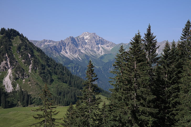 velik palce, Panorama, Alpski, Allgäuske Alpe, pohodništvo, idila, Outlook