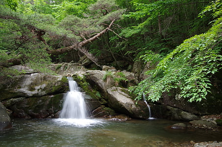 Jiri, yongso falls, nature