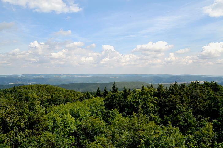 dangus, debesys, medžiai, kraštovaizdžio