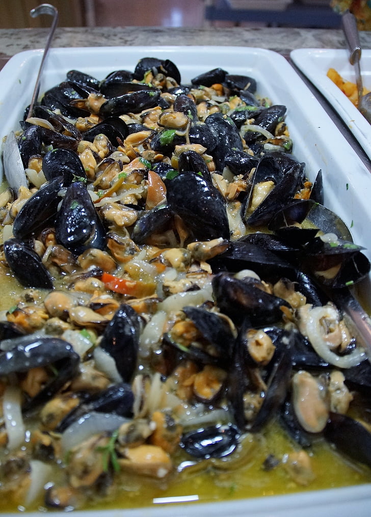 seashell, seafood, mussels, cafeteria, food, gourmet