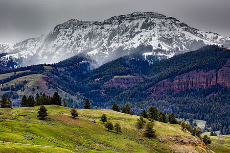 イエローストーン, 国立公園, ワイオミング州, 風景, 風光明媚です, 山, 雪