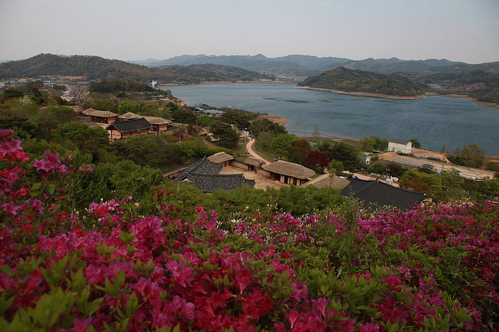 tavaszi, haza, Joseon dinasztia, tenger, óceán, hegyi, nyaralás