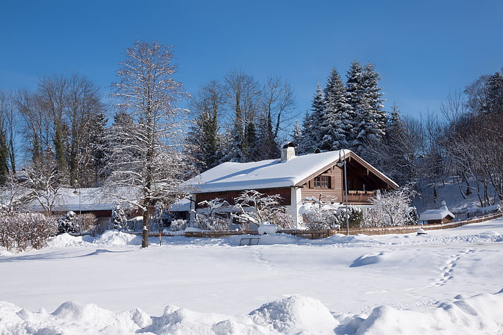 rumah, musim dingin, salju, biru, dingin, langit, atap