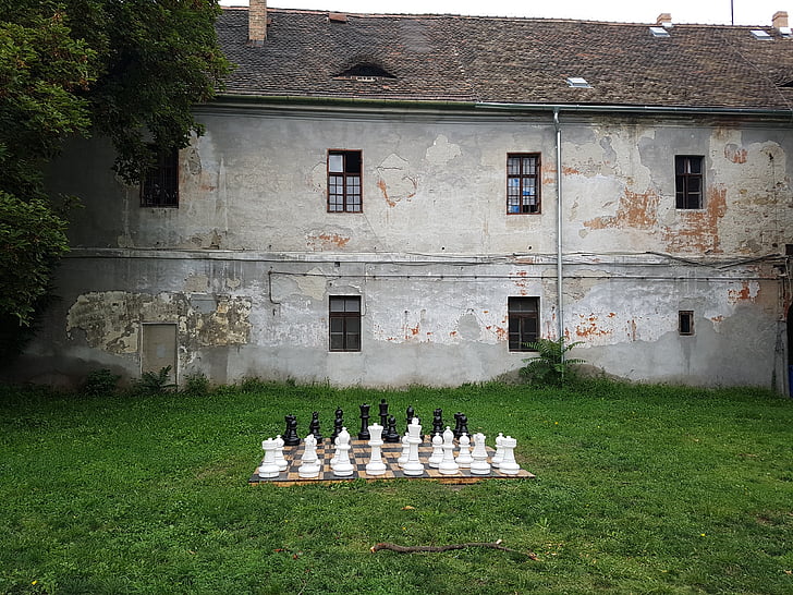 Budapest, Óbuda, shakkipeli, Shakki, shakkinappulat, shakkilaudalla, kontrasti