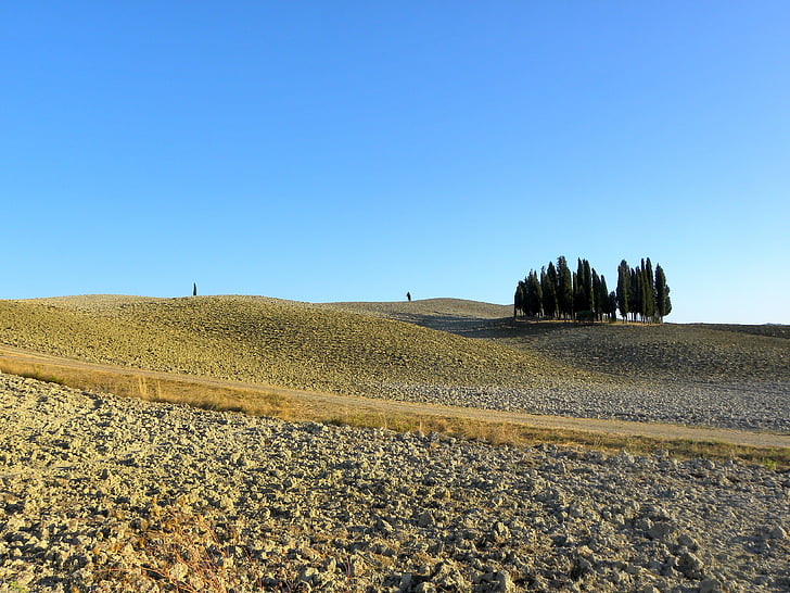 Landschaft, Toskana, Italien, Natur, Ländliches Motiv, Hügel, gepflügtes Feld