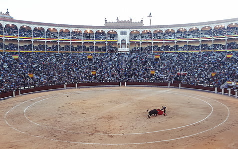 Fénykép, bika, harci, Matador, Ez a híres bikaviador, matadort, amikor, piros