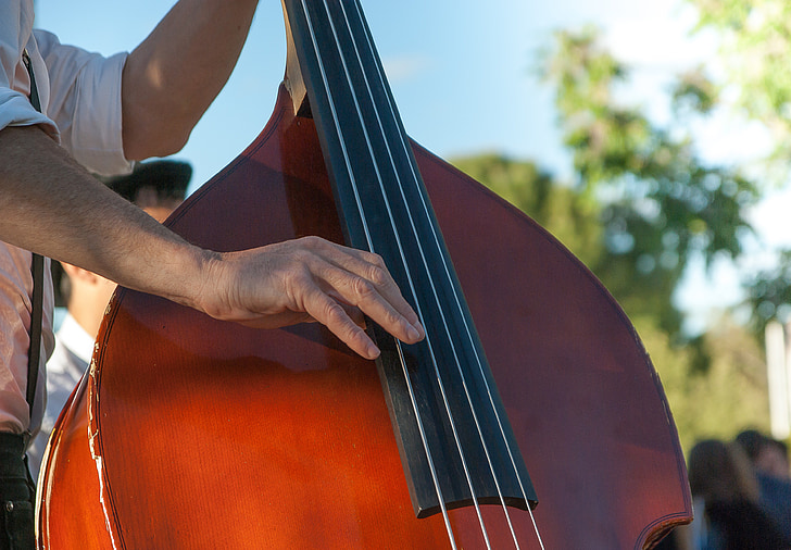 double bass, musician, music, strings, orchestra