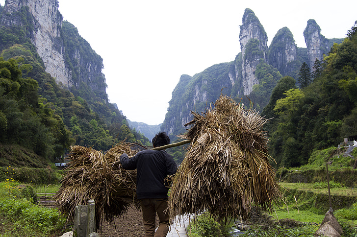 workers, fermer, poverty, carring, carrying, china, fenghuang
