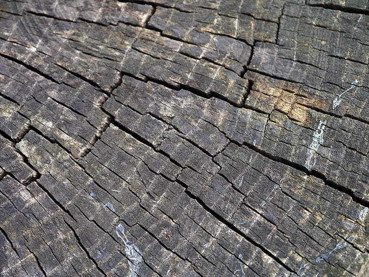 dřevo, zrno, Woodgrain, strom, textura, dřevo, dřevo