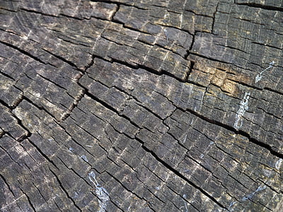 madeira, grão, woodgrain, árvore, textura, madeira, madeira serrada