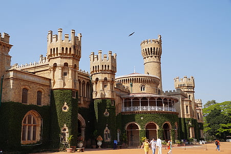 palace, royal, kings, creepers, facade, castle, architectural