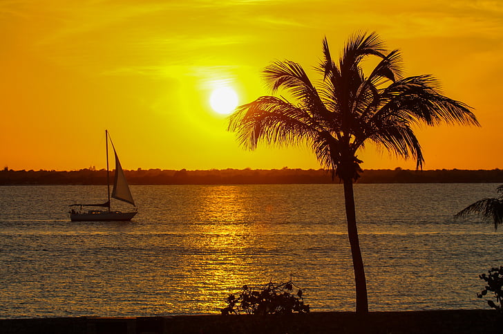 caribbean, sunset, sailboat, palmtree, ocean