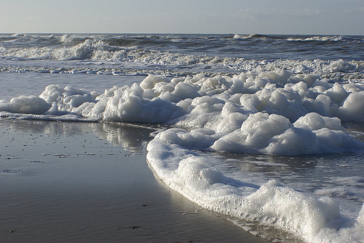 beach, coast, sea, foam