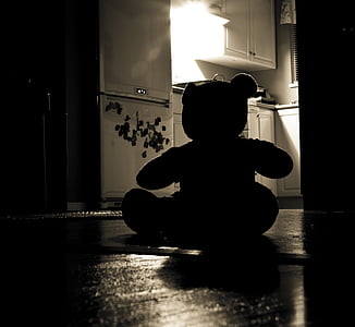 bear, plush, toy, near, refrigerator, Teddy Bear, Silhouette