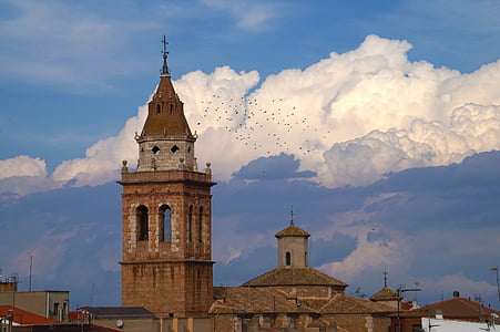 aves, Torre de la campana, pájaro, Cruz, Veleta, paisaje, nubes