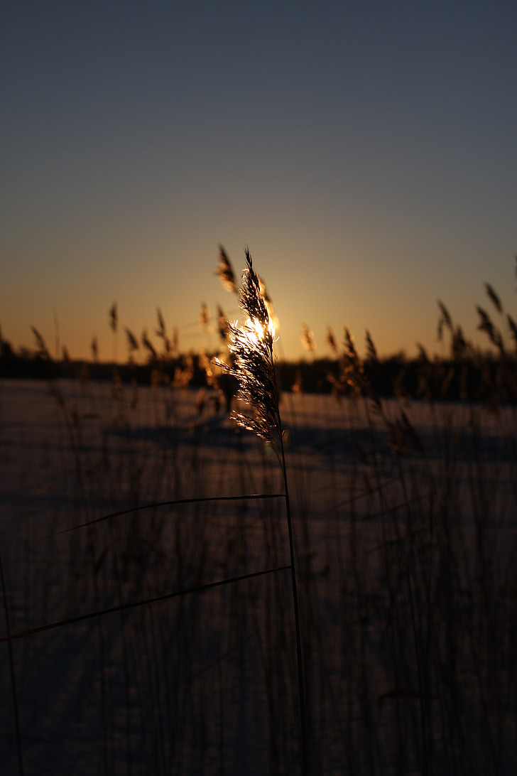 photo, sunset, snow, ice, frozen lake, sweden