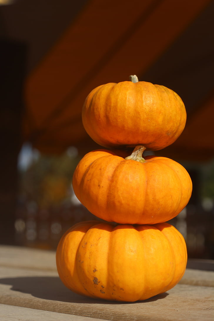 pumpkin, fall, autumn, halloween, orange, holiday, harvest