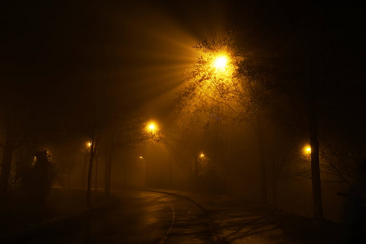 noční, cesta, Lucerna, mlha, město, tmavý, déšť