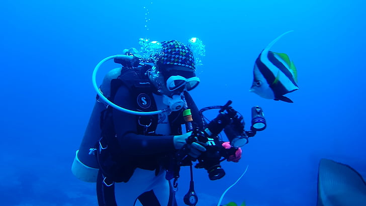 diving, divers, underwater, sea, portrait, yuu latent network, scuba Diving