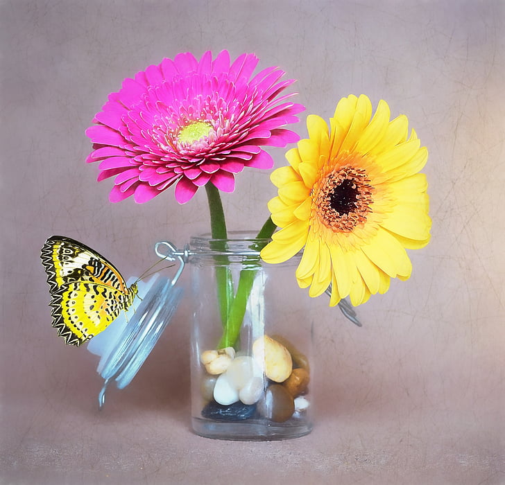 virágok, Gerbera, rózsaszín, sárga, üveg, váza, Deco-kövek