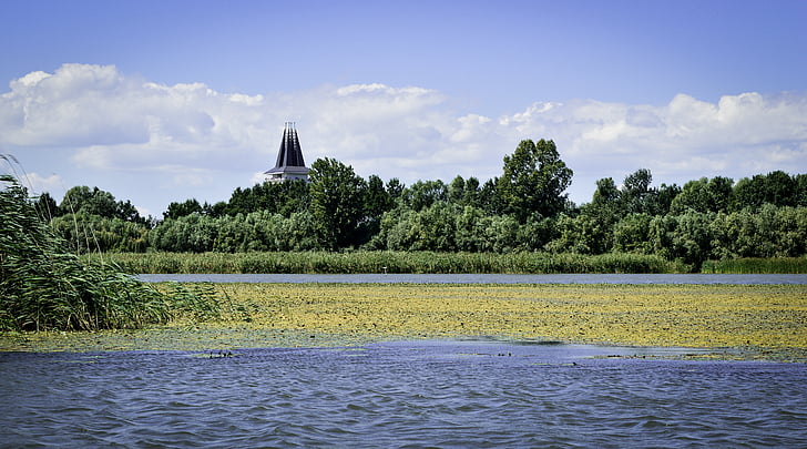 Lago Tisza, poroszlo, estate, canne, acqua, natura, paesaggio