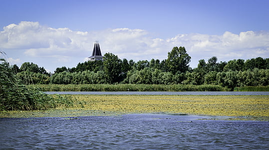 η λίμνη Tisza, poroszlo, το καλοκαίρι, καλάμια, νερό, φύση, τοπίο