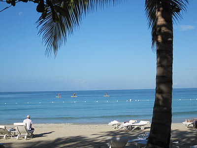 Océano, árbol de Palma, tropical, Playa exótica