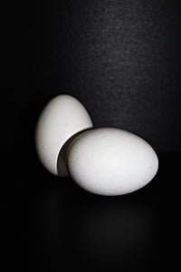 vajíčko, slepičí vejce, slepičí vejce, jídlo, ovál, výživa, kuře