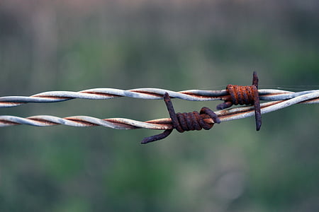barbed wire, rust, rusty, wire, bound, twisted, sadness
