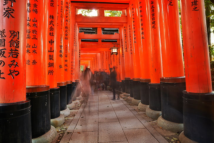 Kyoto, Japan, japansk, vartegn, arkitektur, kultur, religion