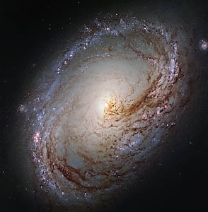 spiral galaxy, intermediate, double-barred, ngc 3368, messier 96, stars, space
