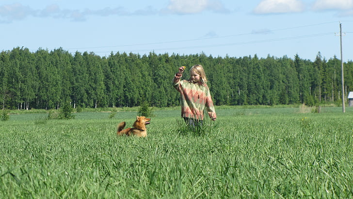 mùa hè, cỏ khô, cô gái và con chó, người đàn ông, con chó, bầu trời xanh, Phần Lan