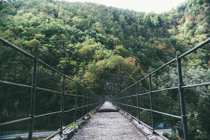 bridge, forest, mountain, outdoors, perspective, railings, trees