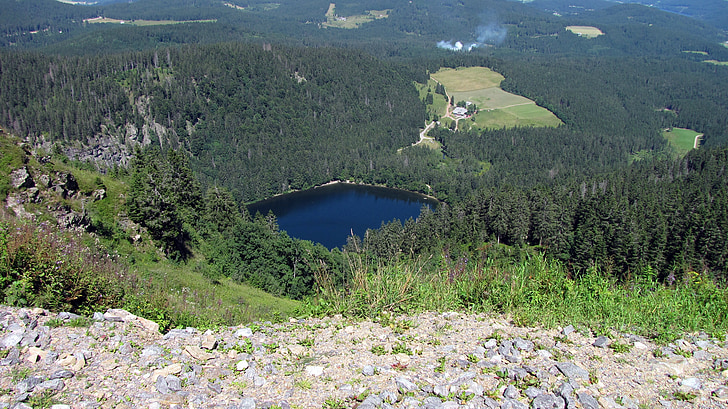 езеро, кутия езеро, Черна гора, гора
