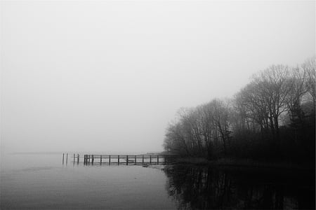escala de grises, Fotografía, desnudo, árboles, al lado de, paseo marítimo, principales