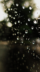kapljice, dež, vode, biseri, mehurček, čudovito, okno