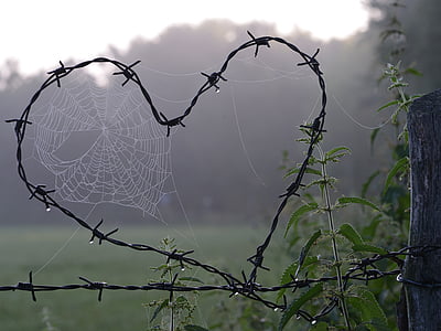 zirnekļa tīkls, sirds, mīlu, aizsardzība, drošības, drošības, barbed wire