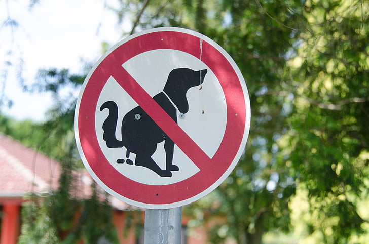 pes, Ban, podepsat, Zákaz psů, zelená, parku