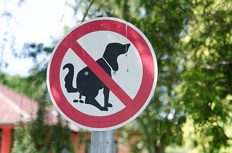 suns, aizliegums, zīme, suns aizliegums, zaļa, parks