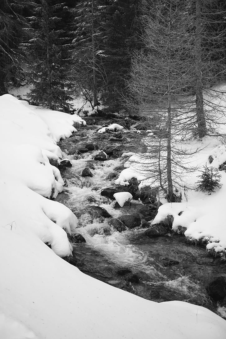 river, snow, black white, nature, flow, forest