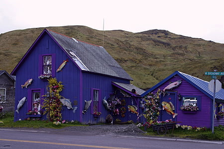 Nizozemski harbor, Alaska, gore, hiša, domov, vijolična, vasi