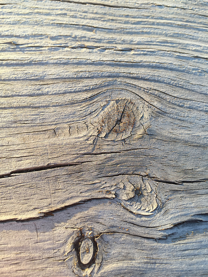 bark, tree, background, wood, grain, pattern, texture