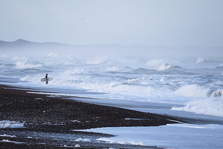Foto, ţărmul mării, persoană, Holding, placă de surf, fundal, oameni