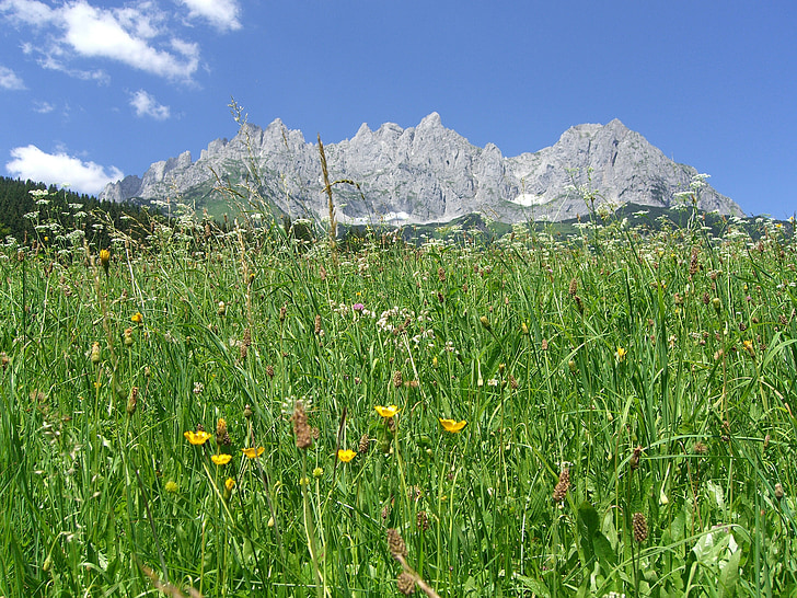 Wilder kaiser, kalnų pusėje, Tirol, Alpės