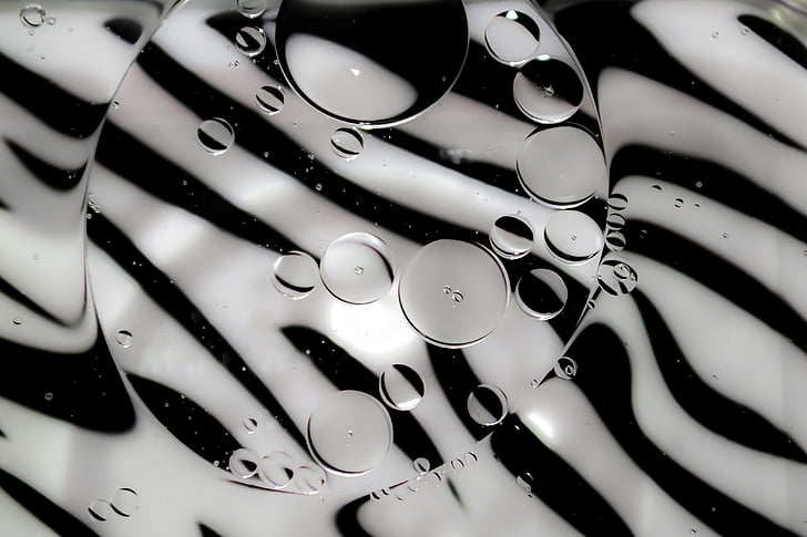 abstrakt, sort hvid, olie, vand, zebra print, standard, close-up